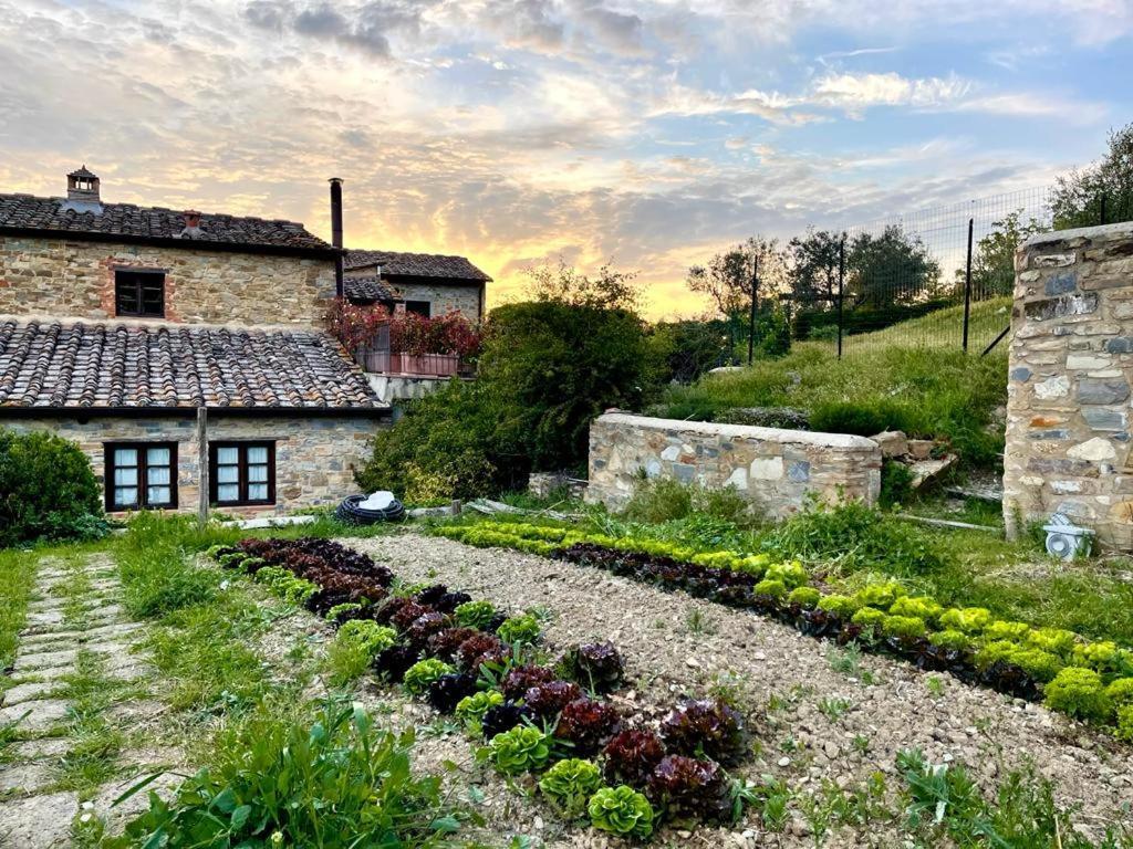 Fattoria Casa Sola Vendégház Barberino di Val dʼElsa Kültér fotó