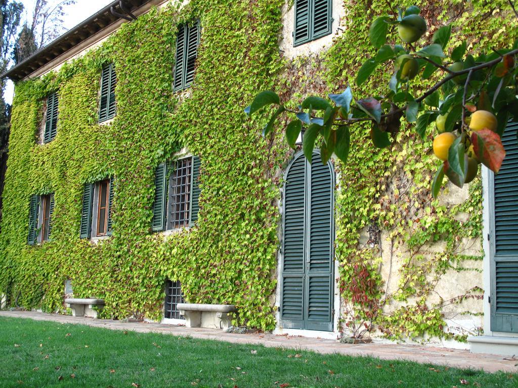 Fattoria Casa Sola Vendégház Barberino di Val dʼElsa Kültér fotó